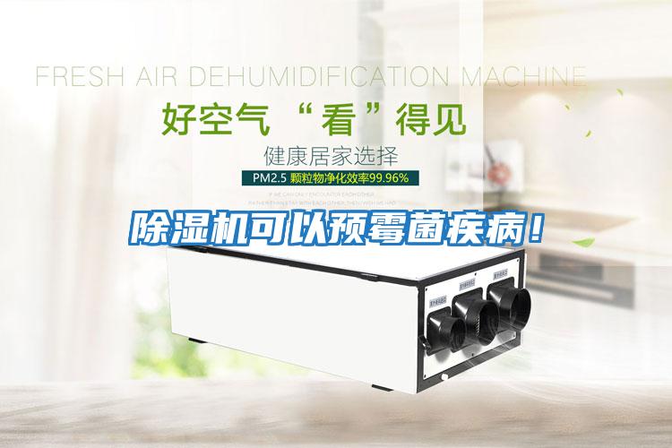 除濕機可以預霉菌疾病！