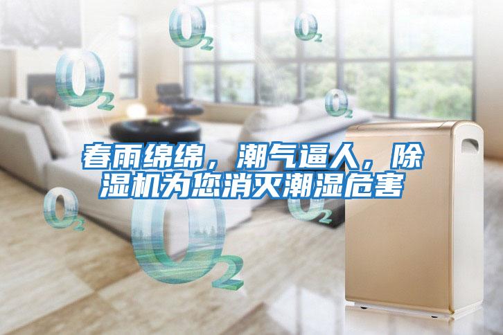 春雨綿綿，潮氣逼人，除濕機為您消滅潮濕危害