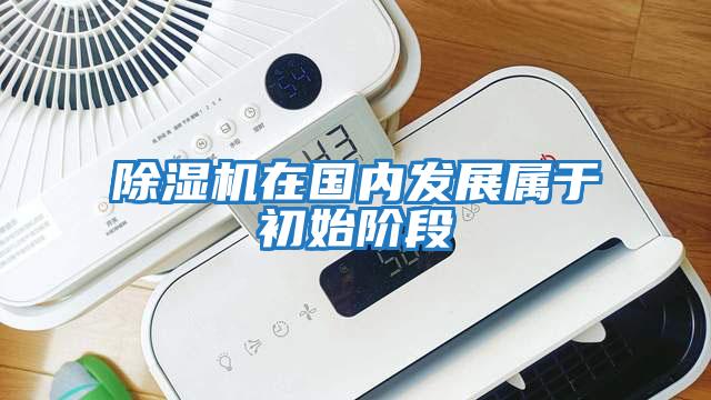 除濕機在國內發展屬于初始階段