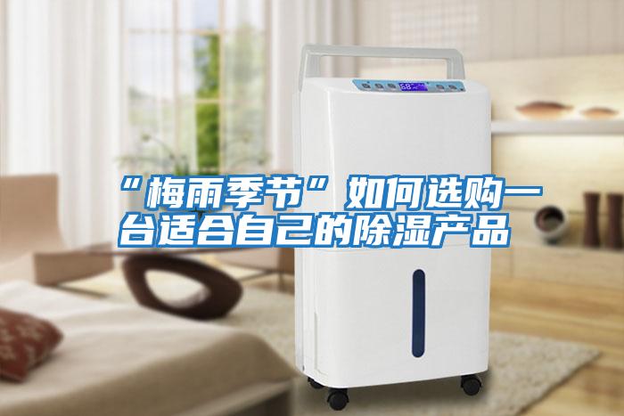 “梅雨季節”如何選購一臺適合自己的除濕產品