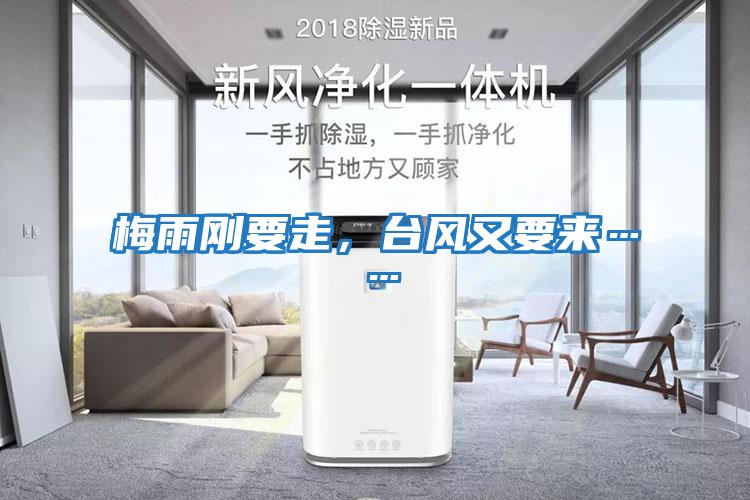 梅雨剛要走，臺風(fēng)又要來……