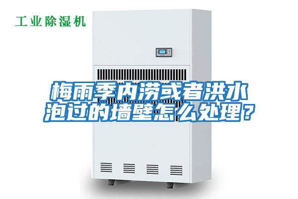 梅雨季內澇或者洪水泡過的墻壁怎么處理？