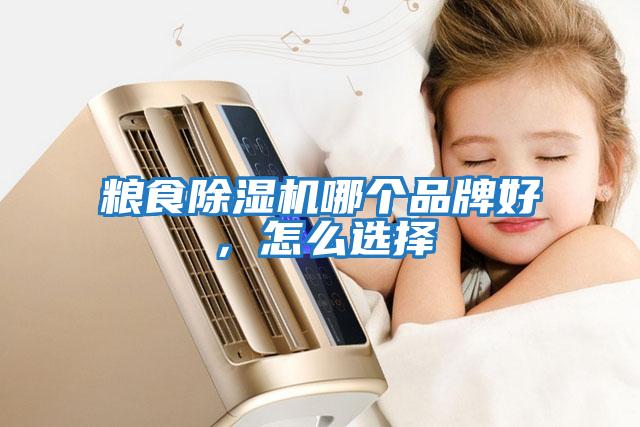 糧食除濕機(jī)哪個(gè)品牌好，怎么選擇