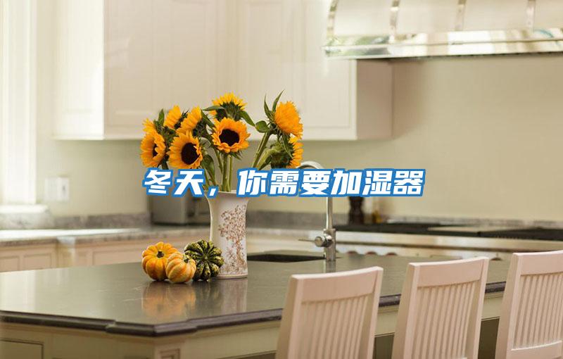 冬天，你需要加濕器