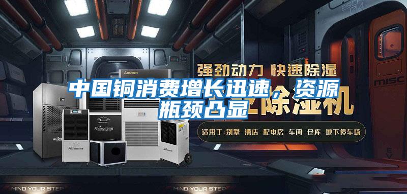 中國銅消費增長迅速，資源瓶頸凸顯