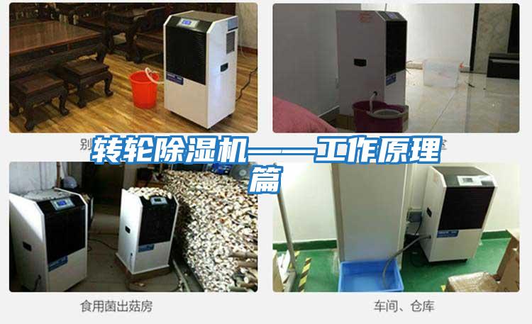 轉輪除濕機——工作原理篇