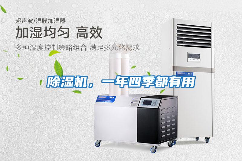除濕機，一年四季都有用