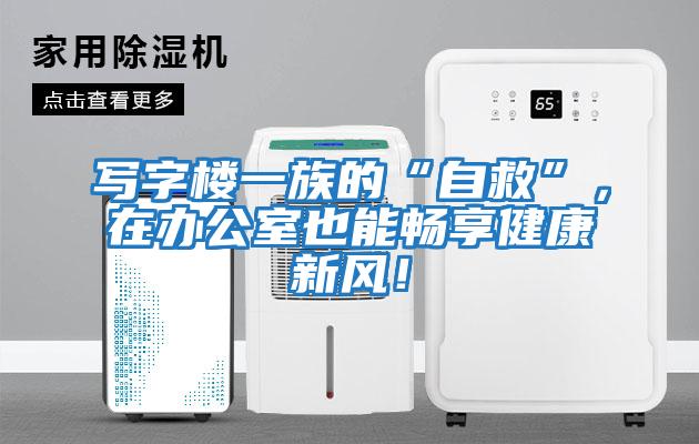 寫字樓一族的“自救”，在辦公室也能暢享健康新風！