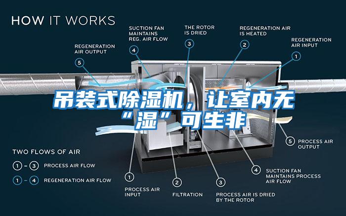 吊裝式除濕機，讓室內無“濕”可生非