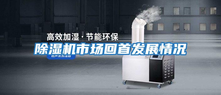 除濕機市場回首發展情況
