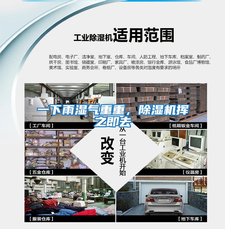 一下雨濕氣重重，除濕機揮之即去