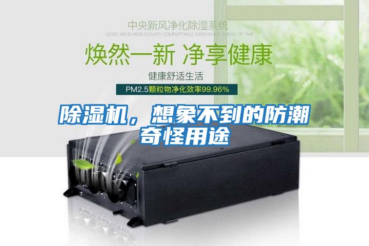 除濕機，想象不到的防潮奇怪用途