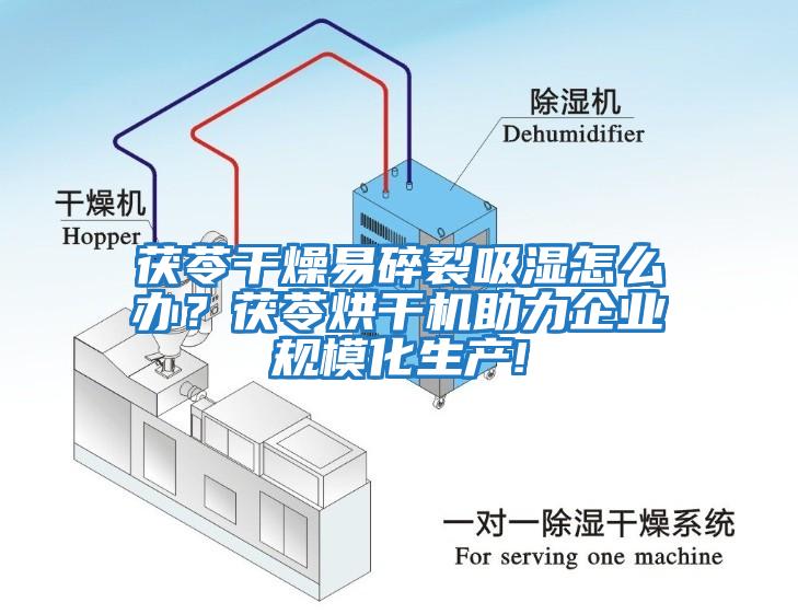 茯苓干燥易碎裂吸濕怎么辦？茯苓烘干機助力企業規?；a!
