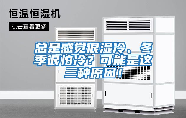 總是感覺很濕冷、冬季很怕冷？可能是這三種原因！