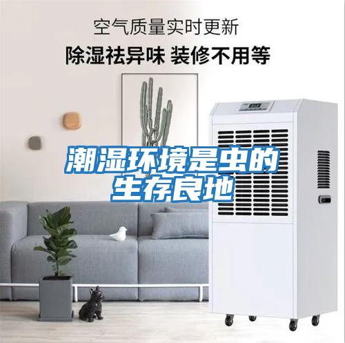 潮濕環(huán)境是蟲(chóng)的生存良地