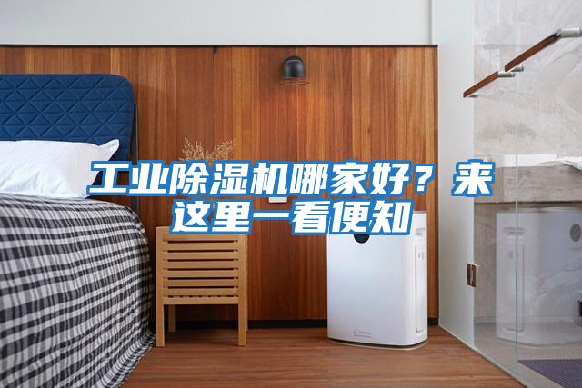 工業除濕機哪家好？來這里一看便知