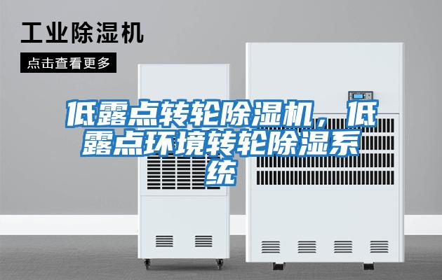 低露點轉(zhuǎn)輪除濕機，低露點環(huán)境轉(zhuǎn)輪除濕系統(tǒng)
