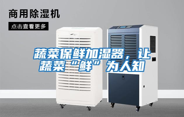蔬菜保鮮加濕器,讓蔬菜“鮮”為人知