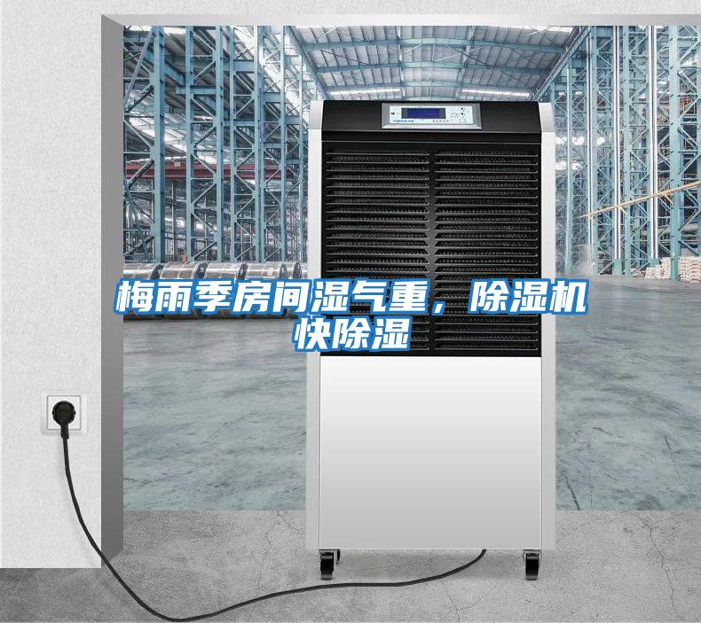 梅雨季房間濕氣重，除濕機快除濕