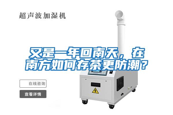 又是一年回南天，在南方如何存茶更防潮？