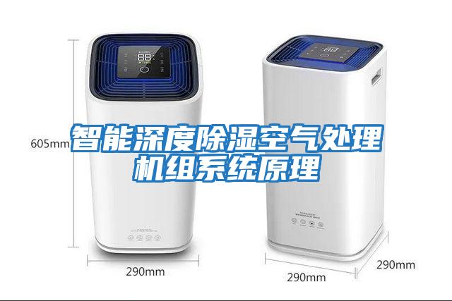 智能深度除濕空氣處理機組系統原理