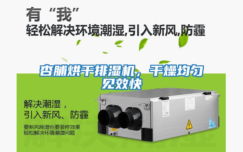 杏脯烘干排濕機，干燥均勻見效快