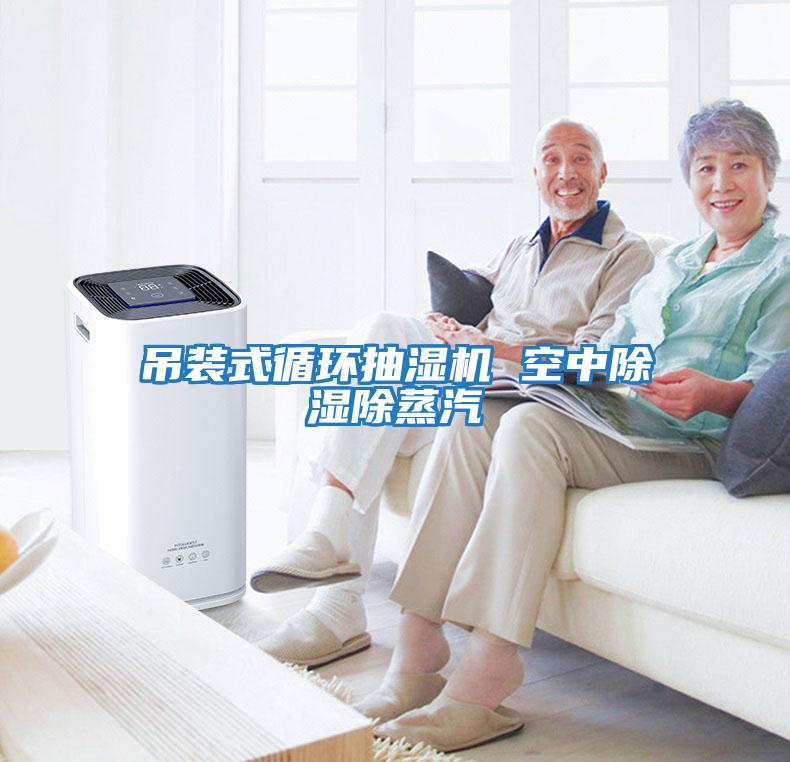 吊裝式循環抽濕機 空中除濕除蒸汽
