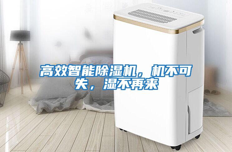 高效智能除濕機，機不可失，濕不再來