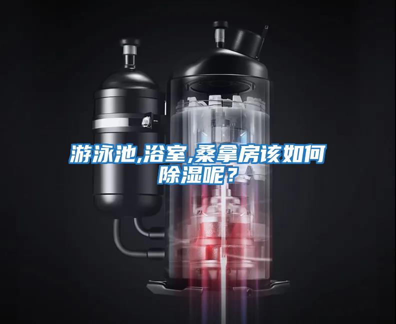 游泳池,浴室,桑拿房該如何除濕呢？