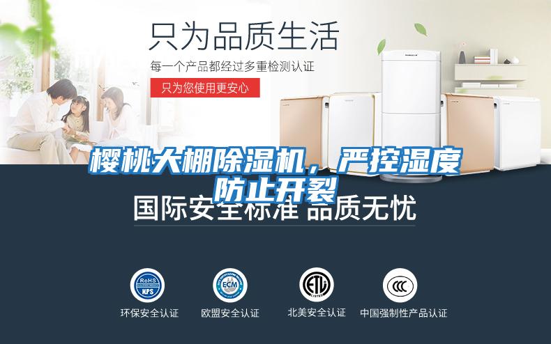 櫻桃大棚除濕機，嚴(yán)控濕度防止開裂