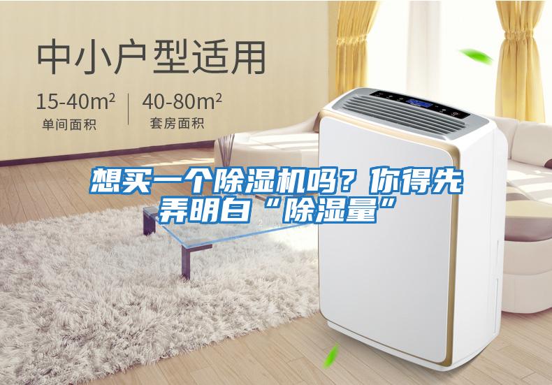 想買一個除濕機嗎？你得先弄明白“除濕量”
