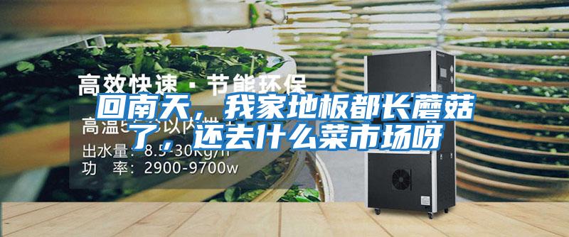 回南天，我家地板都長蘑菇了，還去什么菜市場呀