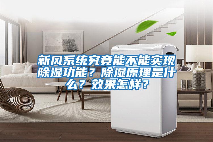 新風系統究竟能不能實現除濕功能？除濕原理是什么？效果怎樣？