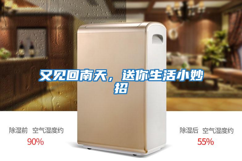 又見回南天，送你生活小妙招