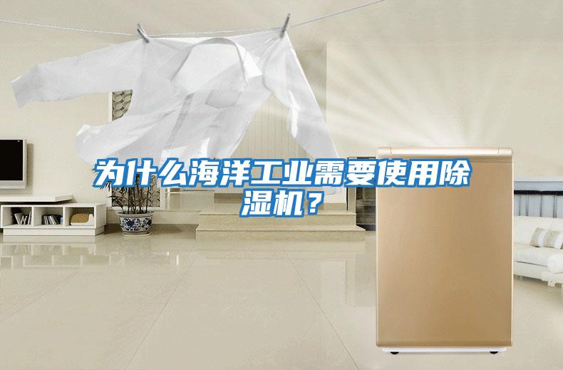 為什么海洋工業需要使用除濕機？