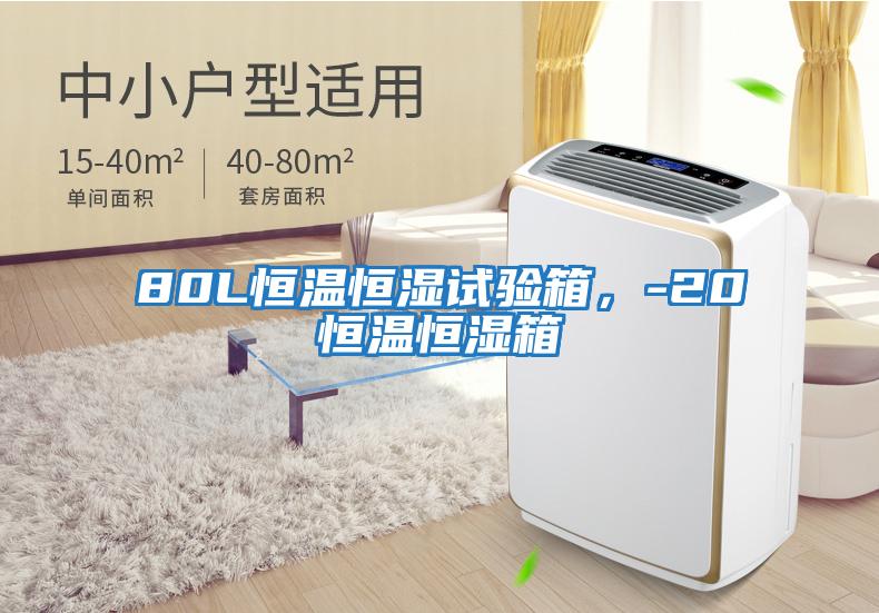 80L恒溫恒濕試驗箱，-20℃恒溫恒濕箱
