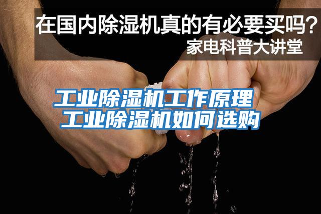 工業除濕機工作原理 工業除濕機如何選購