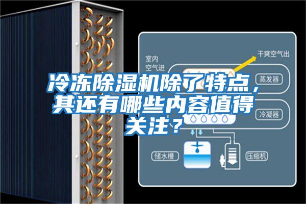 冷凍除濕機除了特點,其還有哪些內容值得關注?
