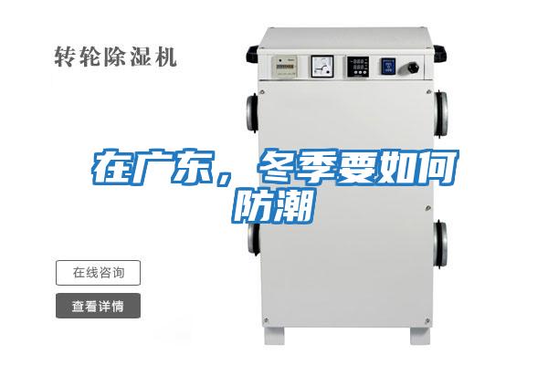 在廣東，冬季要如何防潮