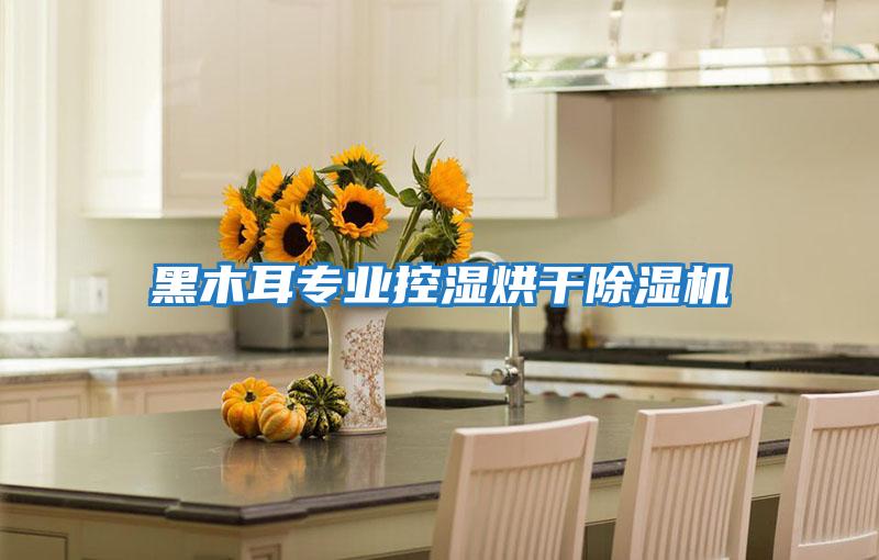 黑木耳專業控濕烘干除濕機