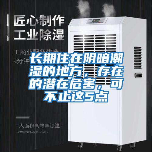 長期住在陰暗潮濕的地方，存在的潛在危害，可不止這5點