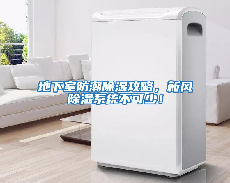 地下室防潮除濕攻略,新風除濕系統不可少!