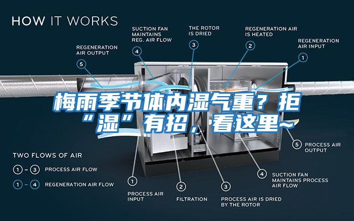 梅雨季節(jié)體內(nèi)濕氣重？拒“濕”有招，看這里~