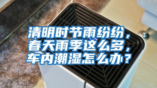 清明時節(jié)雨紛紛，春天雨季這么多，車內(nèi)潮濕怎么辦？