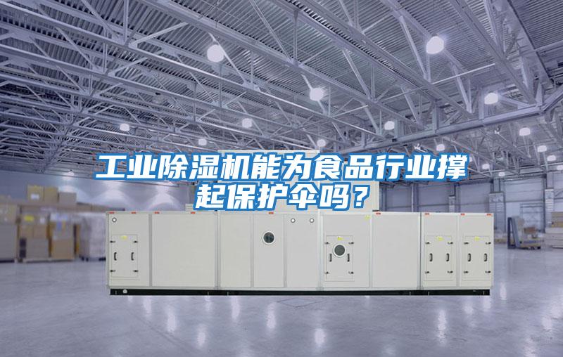工業(yè)除濕機能為食品行業(yè)撐起保護傘嗎？
