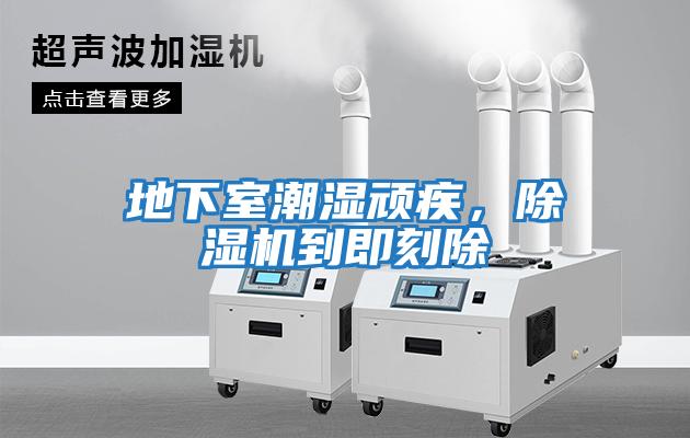 地下室潮濕頑疾，除濕機到即刻除