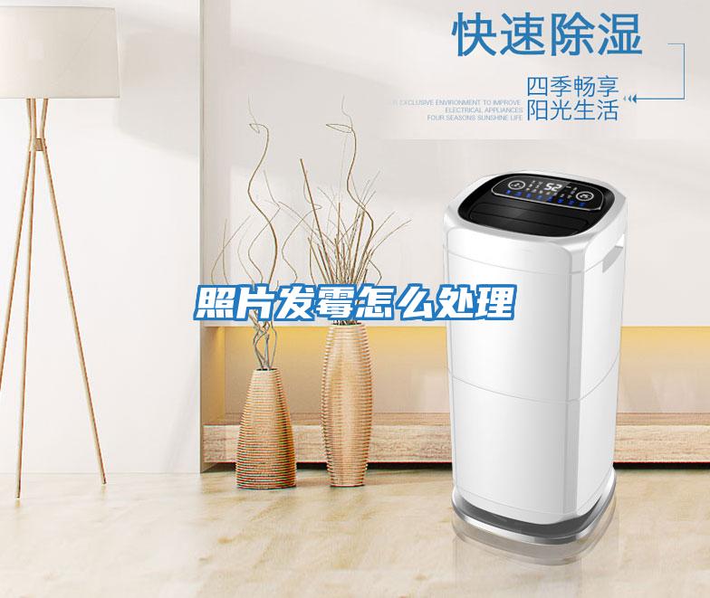 照片發霉怎么處理