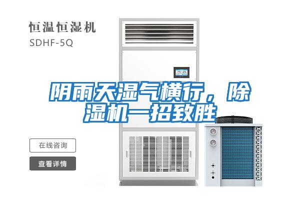 陰雨天濕氣橫行，除濕機(jī)一招致勝