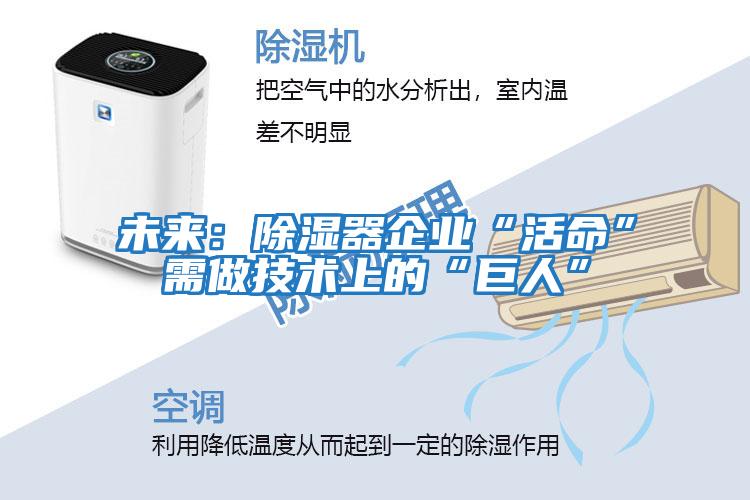 未來：除濕器企業“活命”需做技術上的“巨人”