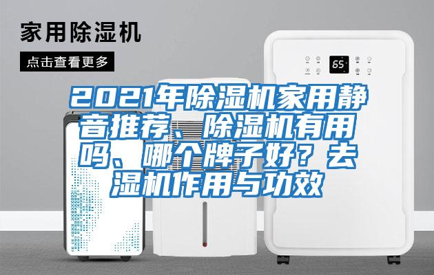 2021年除濕機家用靜音推薦、除濕機有用嗎、哪個牌子好？去濕機作用與功效